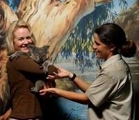 Cairns Tropical Zoo